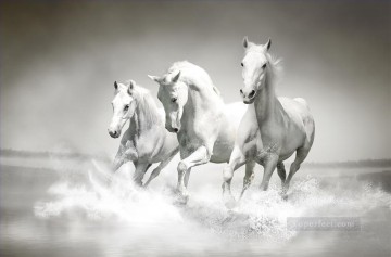  Riendo Pintura - caballos blancos corriendo realistas de la foto